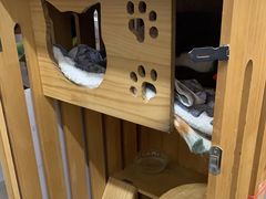 -云城照相馆(龙湖雨山天街店)