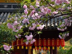 -龙华寺