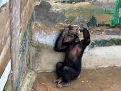 -西霞口神雕山野生动物世界