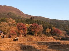 -塔川景区