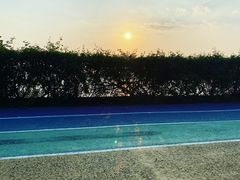-贡湖湾湿地公园