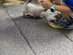 -老屋咖啡
