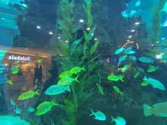 -鸿通城购物中心