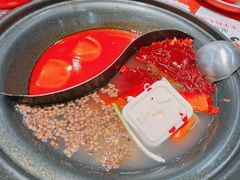 -生活如沸·顺德水牛奶火锅(大学路店)