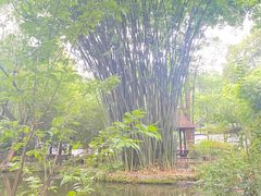 -成都杜甫草堂博物馆