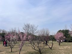 -蜀冈西峰生态公园