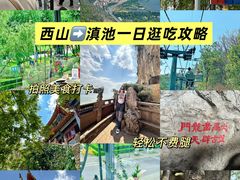 -怡得观滇餐厅·地道昆明菜·1996(海埂大坝店)