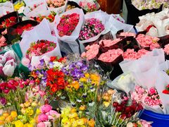 -秦美花卉(天朗·莱茵小城2期店)