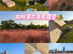 -顾村公园3号门停车场