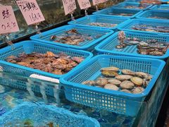 -蚝得喜海鲜(东城店)