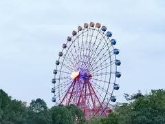 -南湖梦幻岛