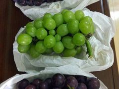 -马陆小张葡萄园农家乐