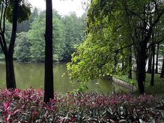 -广州珠江公园