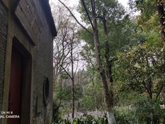 -吴山景区