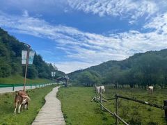 -大水川景区