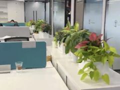-王丽律师团队·专注婚姻家事(黄浦店)