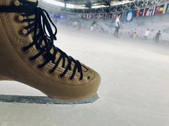 -世界之窗阿尔卑斯冰雪世界
