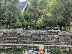 -牛背梁国家森林公园