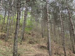 -北京密云天门山风景区