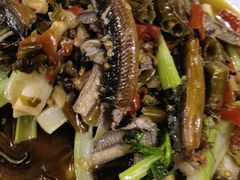 -春涛餐馆(下坝店)