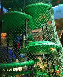 -恐龙探索乐园(磁器口店)