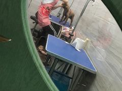 -贝利宠物医院·骨科·眼科·肿瘤转诊中心(南坪诊疗中心)