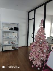 -Lab Season惜辰颜究社