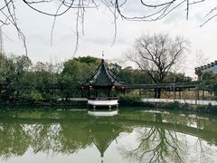 -上海醉白池公园