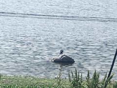 -观音阁水库风景区