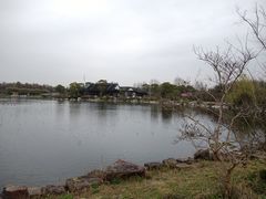 -上海海湾国家森林公园