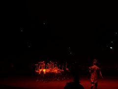 -珠海横琴长隆《卡卡虎奇遇记》