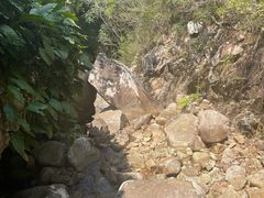 -霸王岭国家森林公园