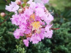 -嵊泗基湖沙滩