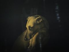 -徐汇艺术馆