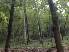 iphone_upload_pic-杭州黄龙洞