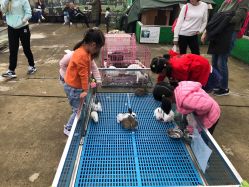 -梦田都市农场(银泰城店)