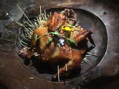 -Hi City·城市之巅