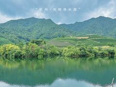 -龙坞茶村
