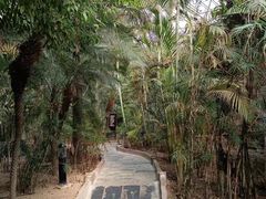 -龙达温泉生态城