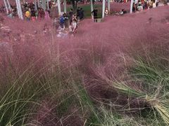 -牛岗山公园