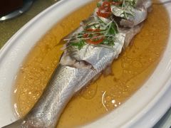 -老洋房花园饭店(绍兴路店)