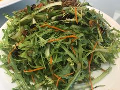 肉丝拌苦苣-好妈王饺子(滂江街店)