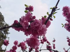 -颐和园