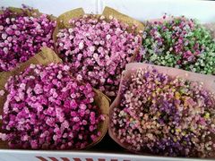 -双季花艺园艺市场(浦东店)