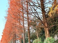 -石燕湖生态旅游景区