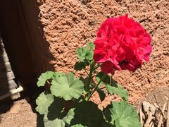 -丽江束河古镇-石莲古寺