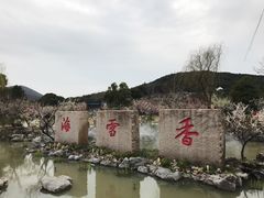 -香雪海