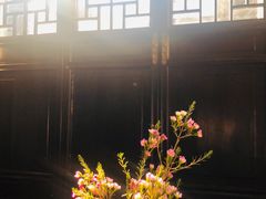 -苏州文旅姑苏小院·端善堂