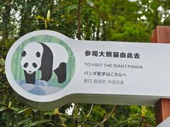 -成都大熊猫繁育研究基地
