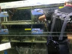 -鱼酷活鱼烤鱼(南京水游城店)